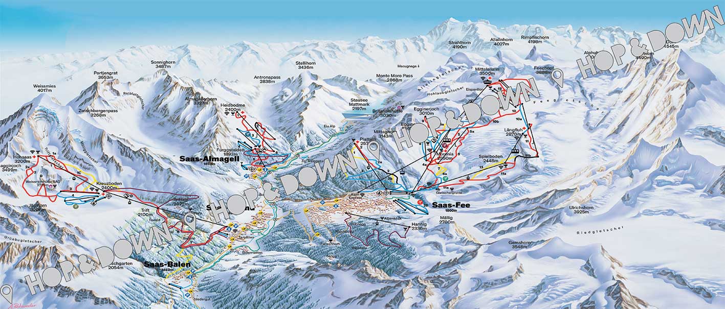 SAAS - FEE